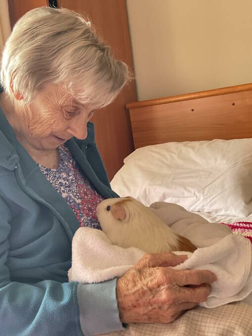 Resident Gladys Burgess refers to the guinea pigs as 'her babies'. 