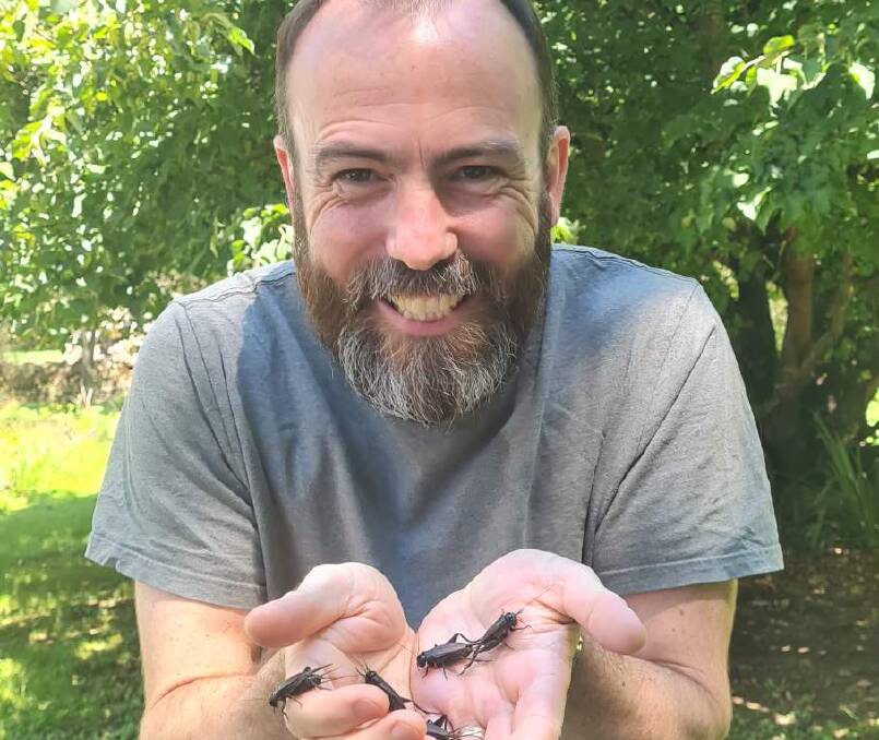 La Trobe University's Michael Shackleton said warm, hot weather with plenty of rain provided perfect conditions for a cricket breeding frenzy. Picture supplied