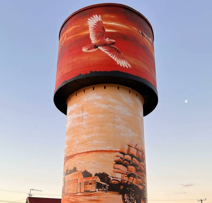 MAJOR HIT: Lake Cargelligo's new water tower mural is already proving popular. Picture: Heesco