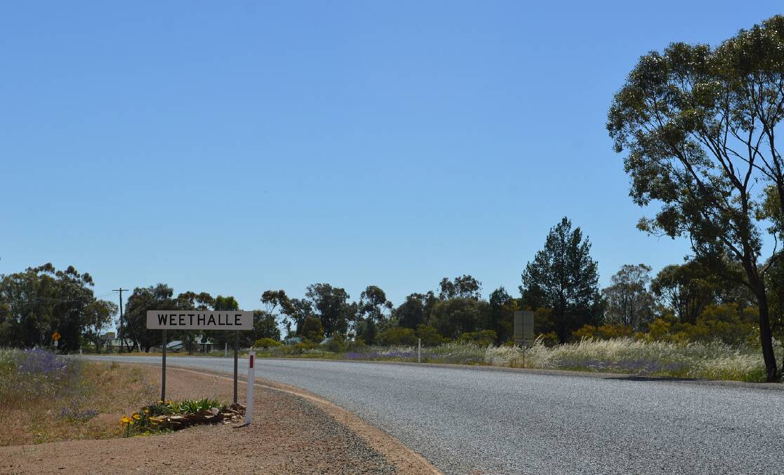 TREASURE HUNT: One man's search for gold has led him to the Weethalle district. PHOTO: Mattinbgn. 