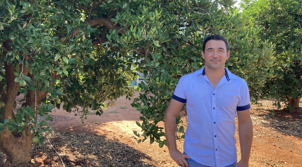 ROOM FOR GROWTH: Redbelly Citrus director Vito Mancini says strategies and incentives need to be introduced to draw more transient workers to farms. PHOTO: Cai Holroyd