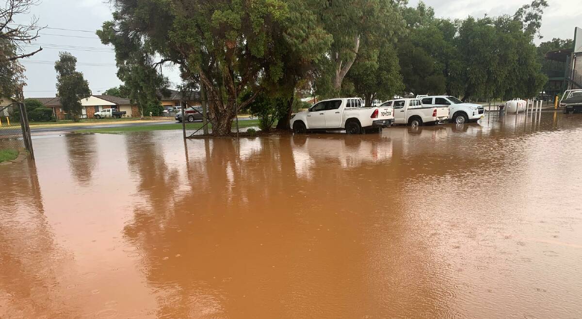 South Pacific Seeds carpark after rainfall on March 22, 2022. PHOTO: Contributed