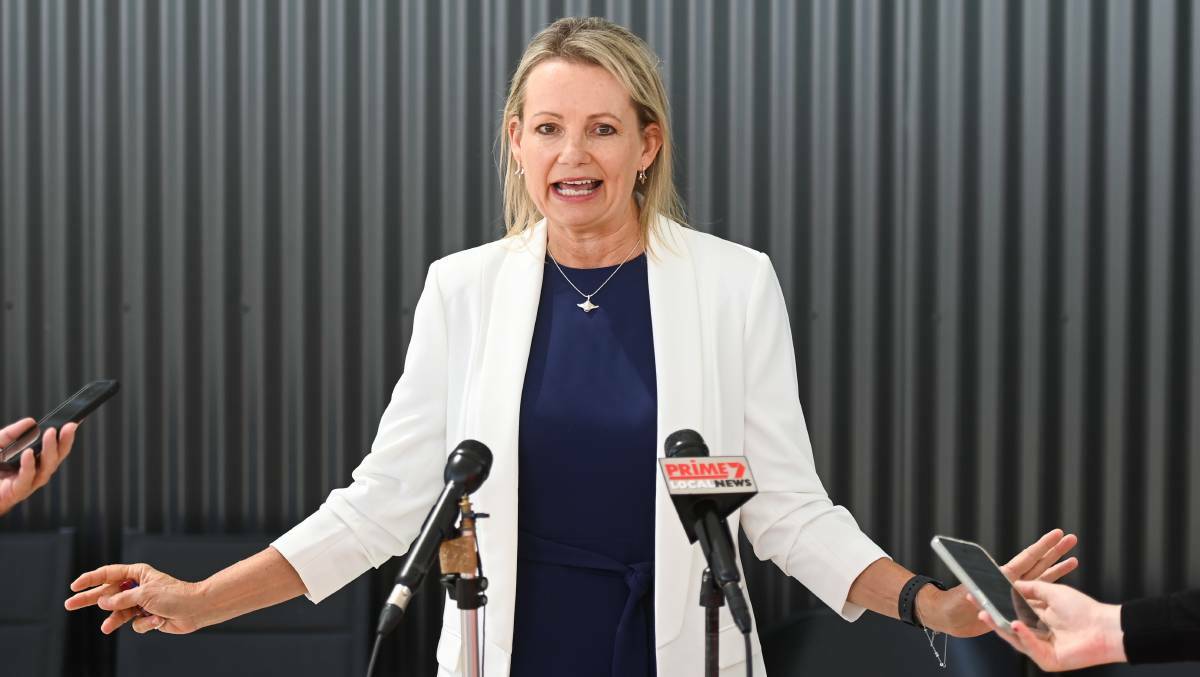 Member for Farrer, Sussan Ley, has criticised Member for Murray Helen Dalton's plan to participate in a rally outside minister for the environment Tanya Plibersek's office this week. Picture file