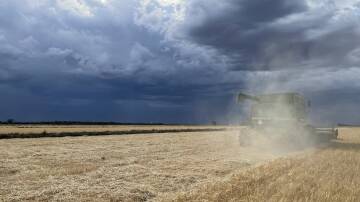 A harvester at work in Widgelli as storm clouds roll across the area this week. Picture supplied