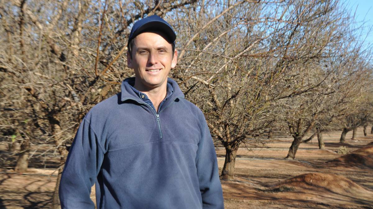 Griffith almond grower, James Callipari, is optimistic about this years harvest.