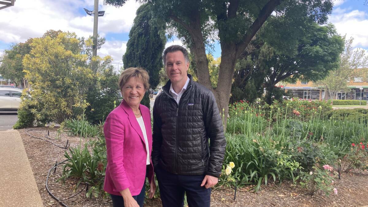 Member for Murray Helen Dalton meeting with NSW Labor leader Chris Minns late last year. Mrs Dalton says she sees merit in the concept of a Riverina state following the passing of the water amendment Bill through the senate. Picture file.