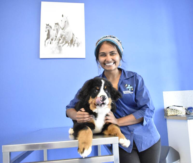 BEST FRIENDS: Raiyan Shahab the vet and Heidi the dog share a moment at the Griffith Veterinary Hospital. PHOTO: Kenji Sato
