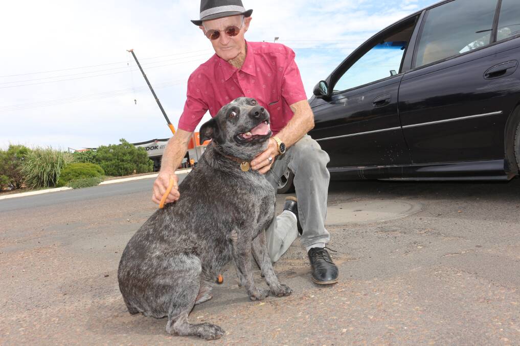 WORKING PARTNERS: Brian Hornby bought his new best friend, Trumby the American Blue Cattle dog, from a man in Gundagai. PHOTO: Kenji Sato