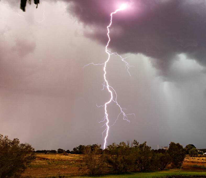 SHOCKER: Lightning struck several trees in the area, and the Rural Fire Service are warning people to keep an eye out for smouldering stumps. PHOTO: Andrew McLean
