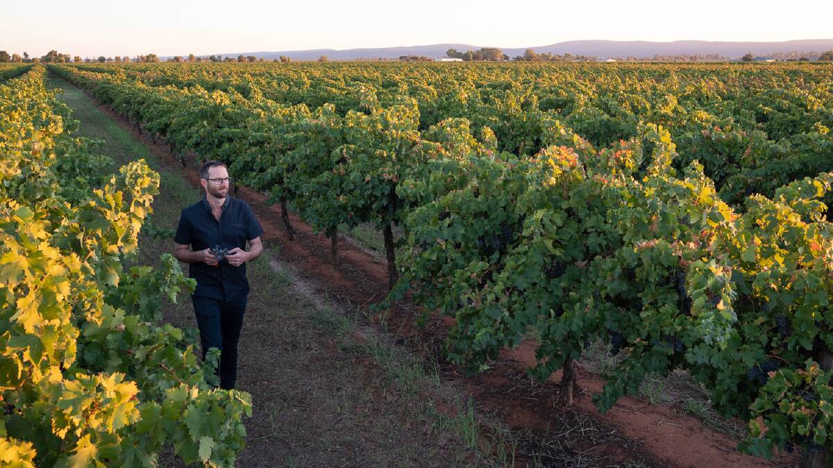 SECRET'S OUT: Sam Brewer said he was incredibly humbled when his little winery was lavished with a 5 Star rating and the Dark Horse Award. Picture: Supplied