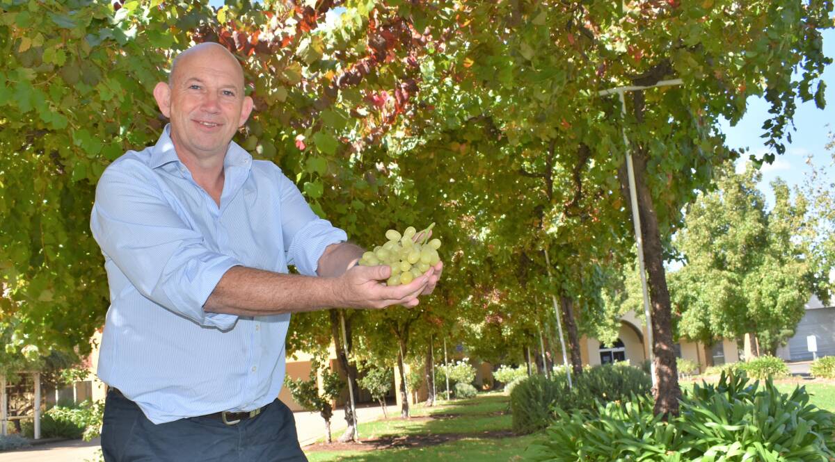 OPTIMISTIC: ANZ Agribusiness Insights head Michael Whitehead predicts the wine industry will grow from strength to strength off the back of growing markets. PHOTO: Kenji Sato