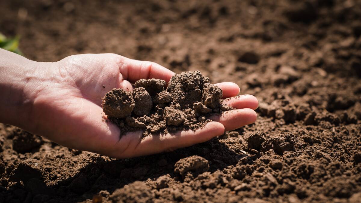 National award launched for those promoting healthy soils