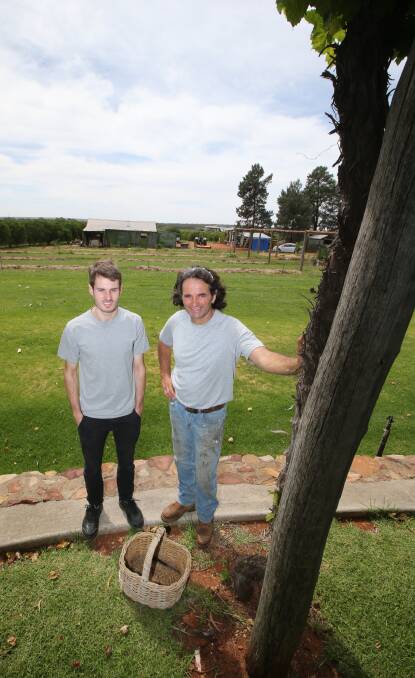 LOOKING TO THE FUTURE: Luke and Peter Piccolo say they believe Griffith is capable of great things, but they need council to get behind them. Photo: Anthony Stipo.