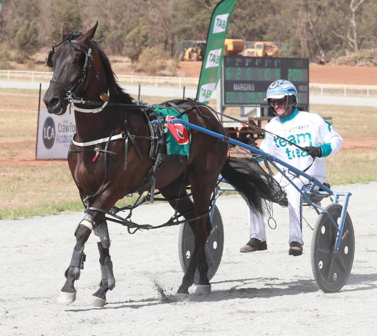MAJOR PLAYER: Western Sonador, pictured with Blake Jones in the sulky, will be one of the leading chances for the new Regional Championships at Riverina Paceway. Picture: Les Smith