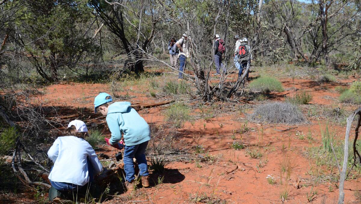 DISCOVER: Members young and old from the Murrumbidgee Field Naturalists PHOTO: Graham Russell