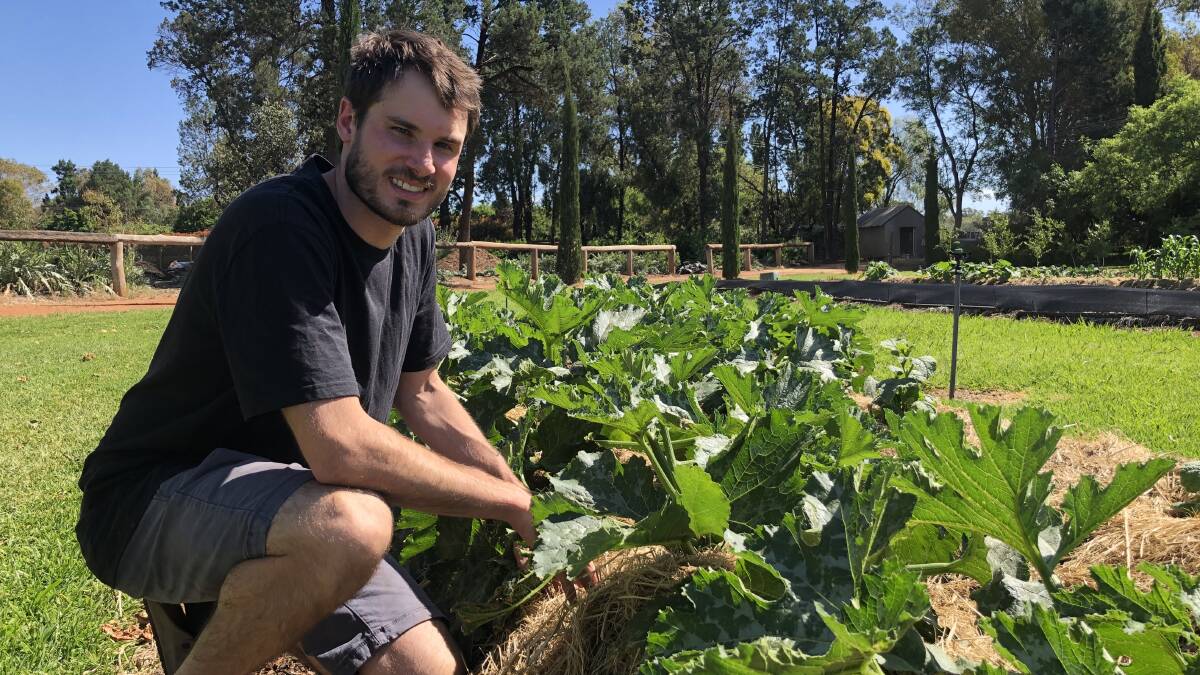 THE FUTURE OF FOOD: Luke Piccolo explains how their composting system encourages healthy ecosystems to thrive with bugs and earthworms welcome. PHOTO: Kat Vella