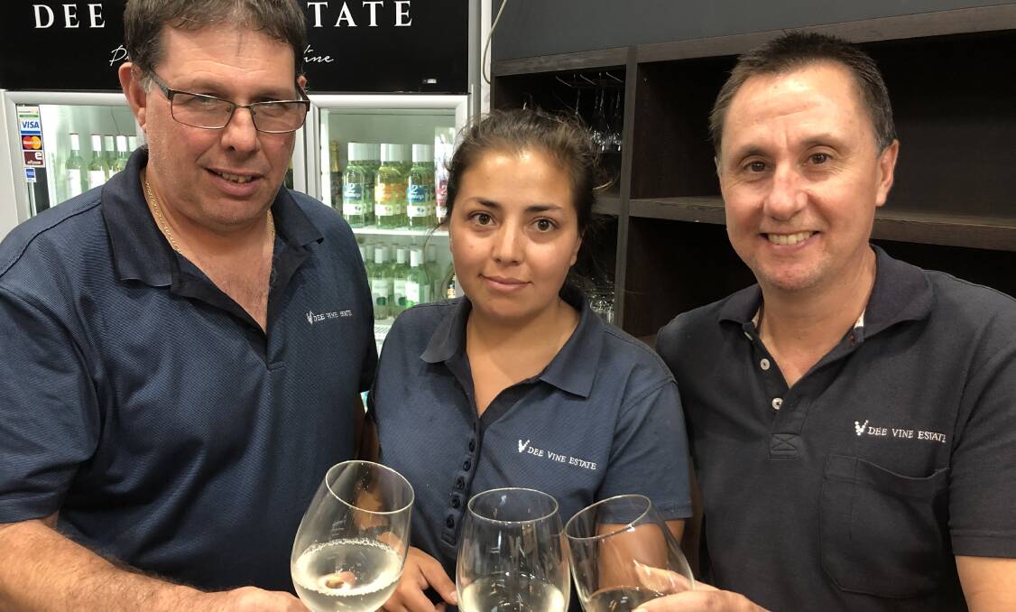 CHILLED: The easy going team at Dee Vine Estate Danny Toaldo, Danisa Calderon and Moreno Chiappin enjoy a drop of the celebrated pinot grigio. PHOTO: Kat Vella