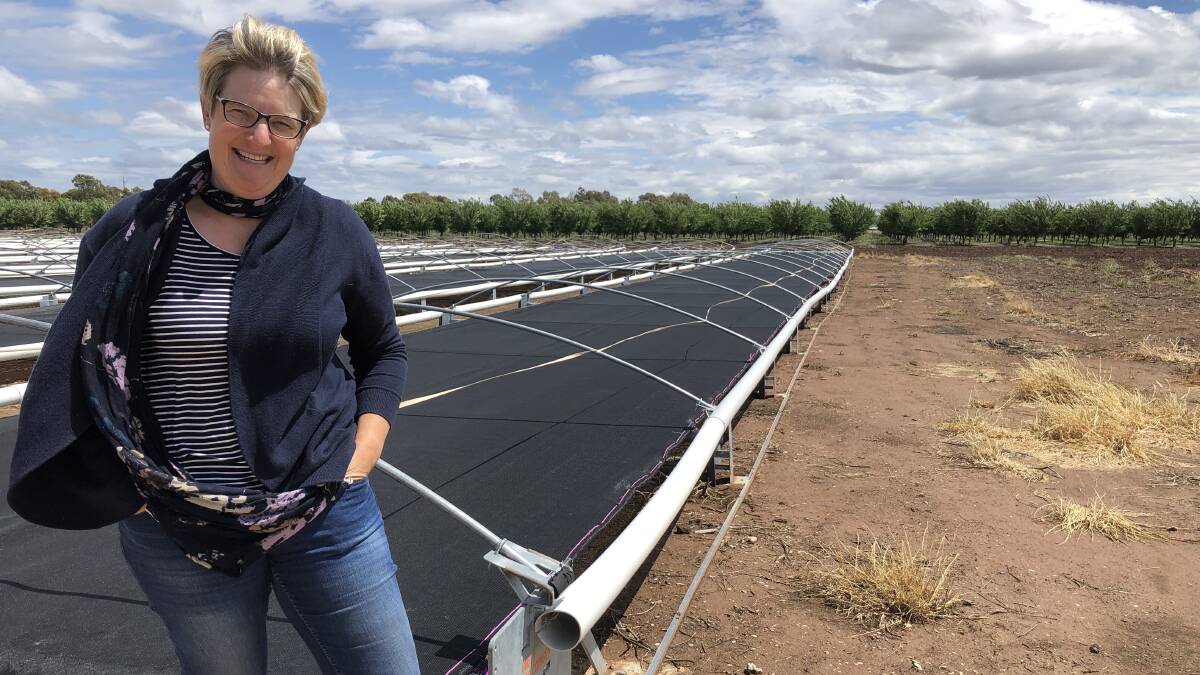 CUTTING EDGE: Ms Furner in front of one of their 12 solar tunnels whose simple mechanical design allows for lower costs and lower carbon emissions. PHOTO: Kat Vella