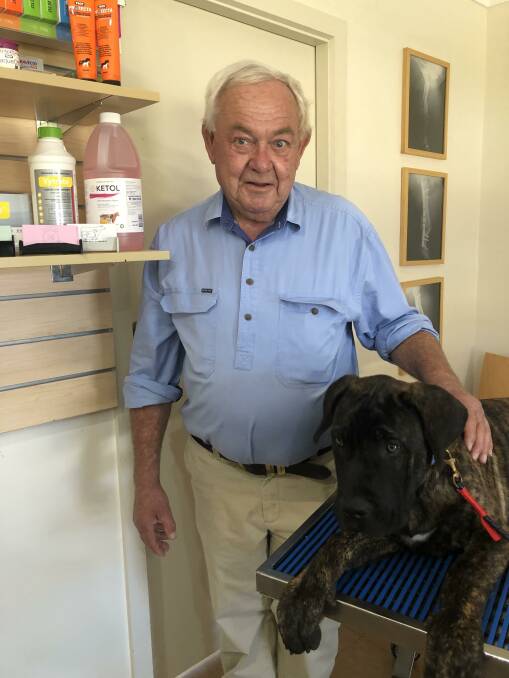 STAYING COOL: Brian Taylor, Veterinarian at All Creatures Veterinary Hospital in Griffith reminds pet owners to take heat seriously. PHOTO: Kat Vella