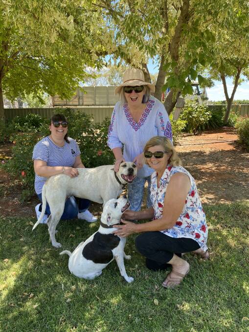 FURRY FRIENDS: Friends of Griffith Pound members Lea Ligakis, Deb McKersie and Virginia Tropeano with rescues 'Lucy' and 'Bonnie' PHOTO: Contributed