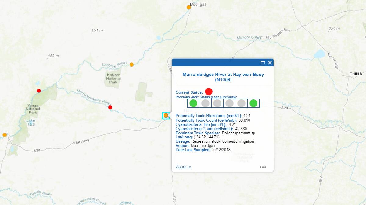 Red alerts: outbreaks of blue green algae have been issued for three spots on the Murrumbidgee at Maude, Redbank, and Hay Weir Buoy in the last week alone. Picture: WaterNSW