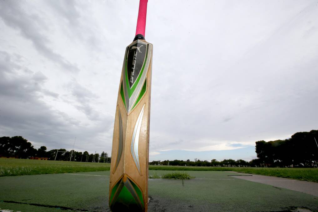 Cricket Cashflow: New nets and practice wicket for Jubilee Park. Picture: Anthony Stipo. 