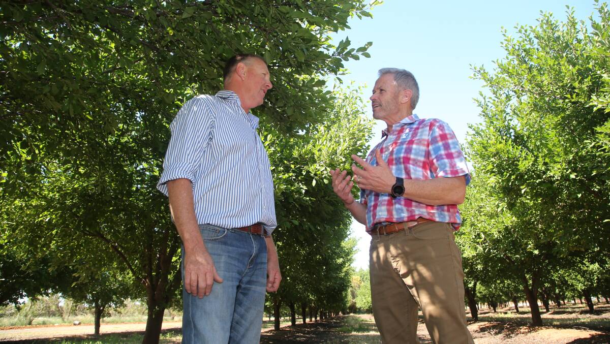 Prune Growers: Grant Delves, chairman of the Australian Prune Industry Association, with Donn Zea, CEO of the California Dried Plum Board. Picture: Anthony Stipo