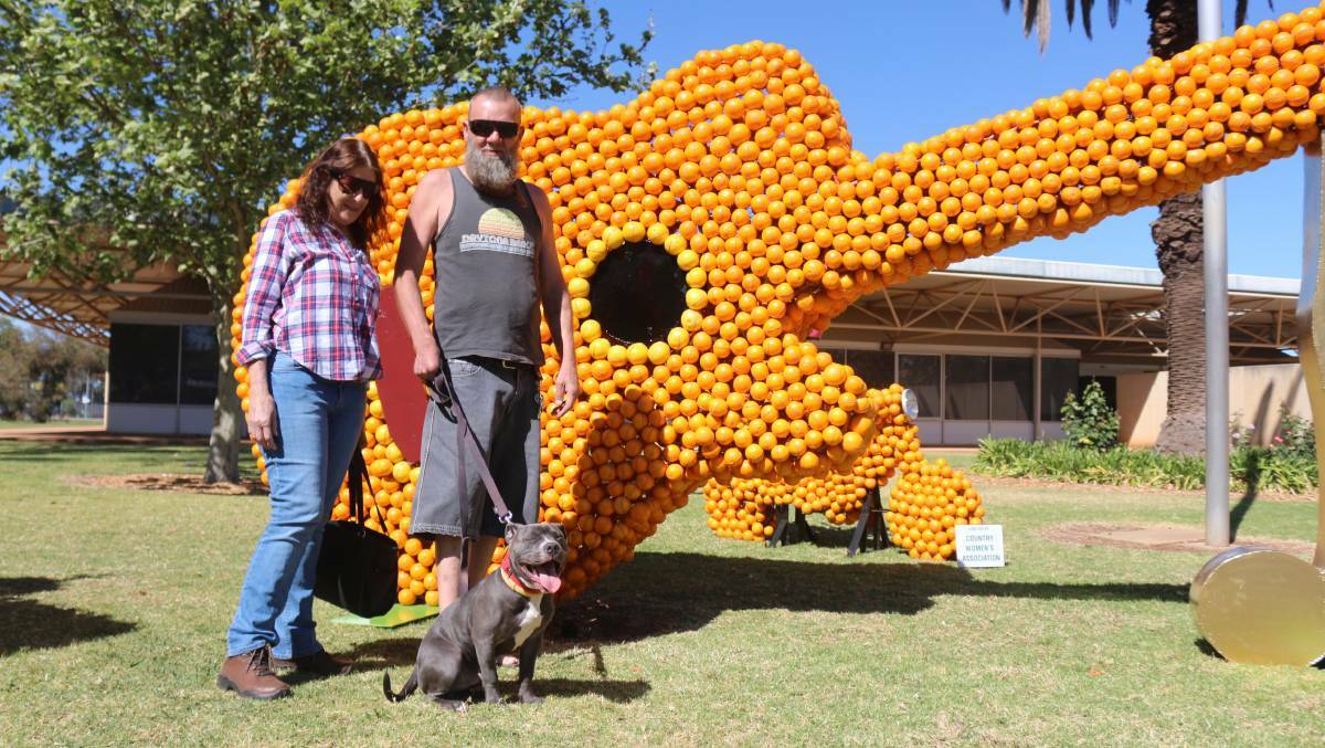 JAMMING: Janette and Gary Bickley with Bear looking at the sculptures in 2018. PHOTO: Jacinta Dickins