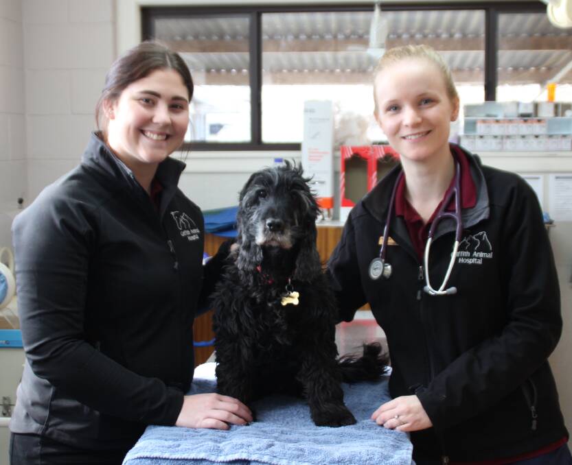 LOVE YOUR PET: Dr Amelia Bunker and Chloe Gordon with pooch Mea. PHOTO: Jacinta Dickins