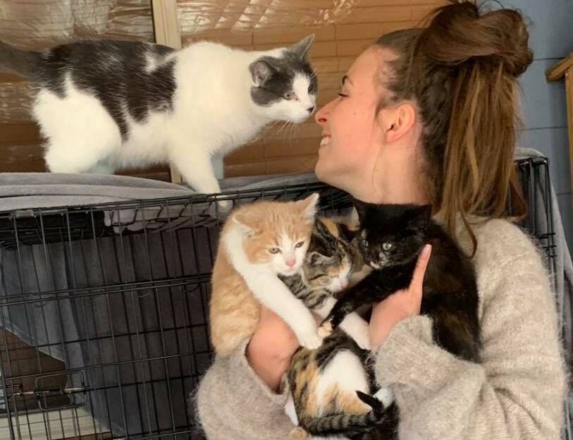 GET THEM DESEXED: Friends of Griffith Pound member Lauren with some of the over 100 cats that she has rescued with The Mini Kitty Commune. PHOTO: Contributed