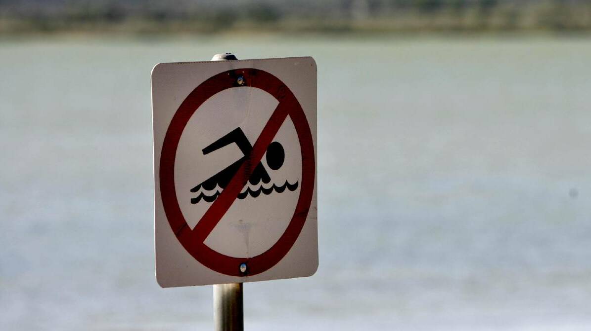 A Red Alert level warning (high alert) for blue-green algae has been issued for the whole of the Hay Weir pool in the Murrumbidgee River.