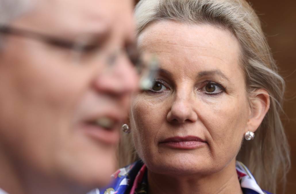 ENVIRONMENT: Sussan Ley has been named Environment Minister.