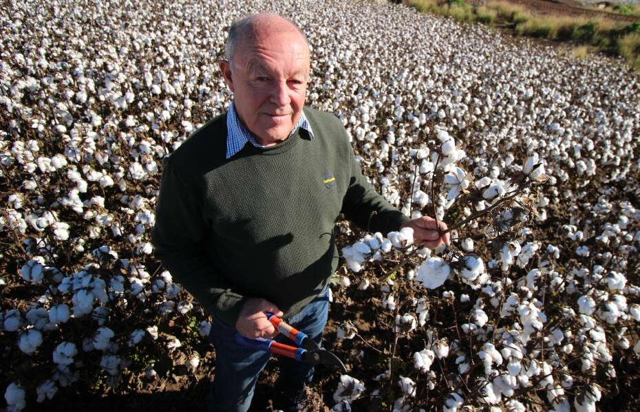 CHANGE: Kieran O'Keeffe says cotton growers are turning maize this season. PHOTO: Jacinta Dickins