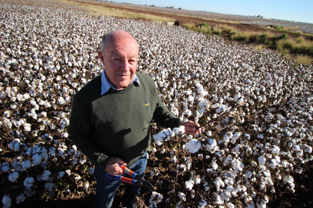 COTTON ON: Based in Griffith, Kieran O'Keeffe is one of three Cotton Seed Distributors Researcher of the Year Award finalists. PHOTO: Jacinta Dickins