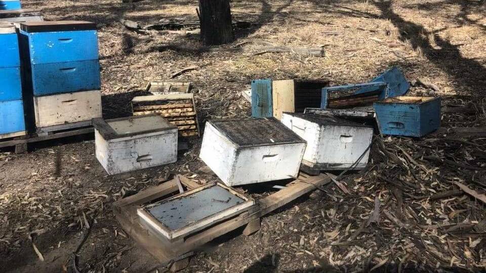 MIND BOGGLING: Bee hives were damaged in what has been called a "senseless" act. PHOTO: Contributed