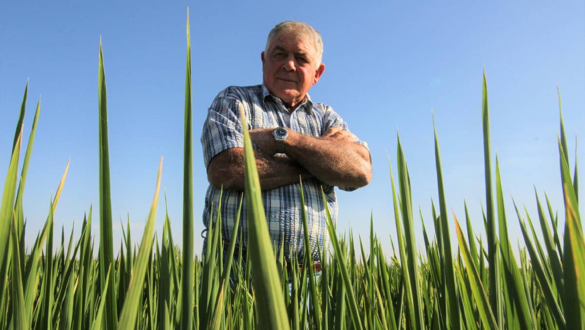 WHAT NEXT: Local Irrigator John Bonetti said supporting a pause in the Murray-Darling Basin Plan was "hiding from reality". PHOTO: Jacinta Dickins