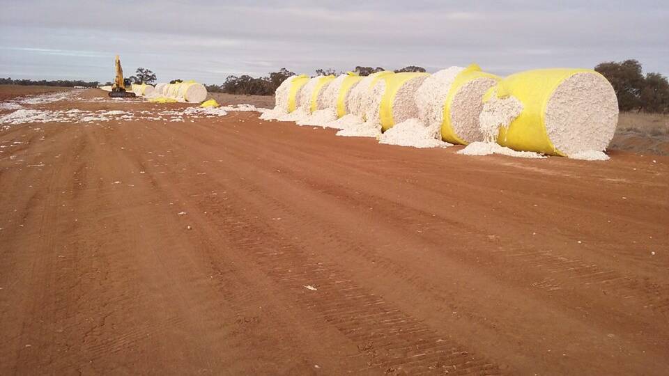 Over 150 cotton bales damaged in “shocking” act of vandalism