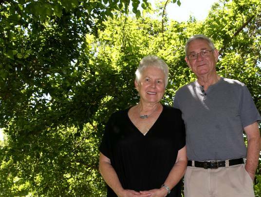 OVER a period of 14 years, Lyndsay and Brian Sainty's "basic shade garden" has evolved as old trees went and new varieties were planted.
