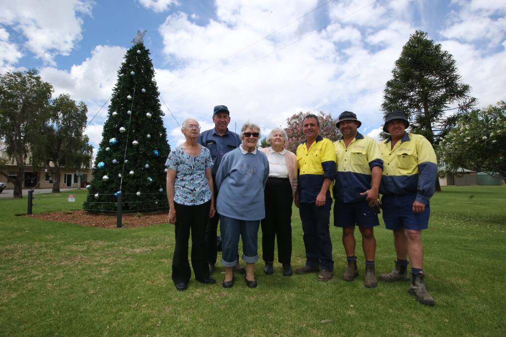 WHAT A TREE-T: Edna Howe, Paul Rossetto, Barbra Jefferies, Heather Farlow, Tony Romeo, Michael Lentini and Chris Ginns at the Yenda Christmas Tree. PHOTO: Anthony Stipo.