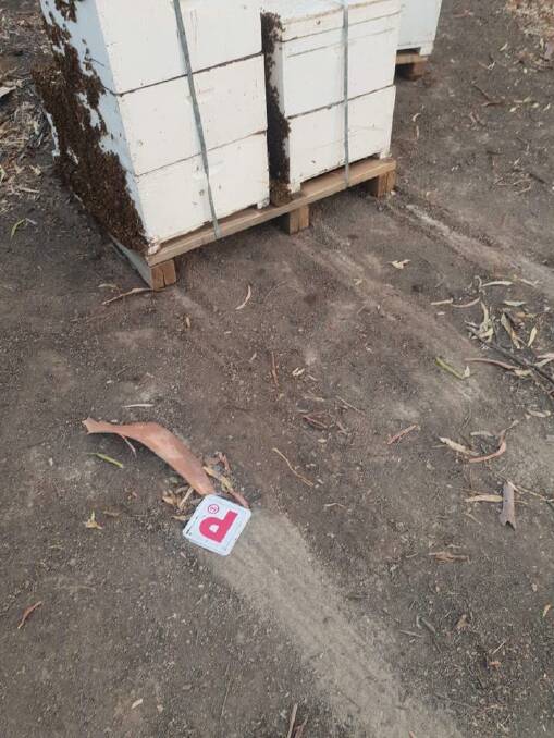 LEFT BEHIND: A red P-Plate was left at the scene of the second attack on bee hives in the area. PHOTO: Contributed 