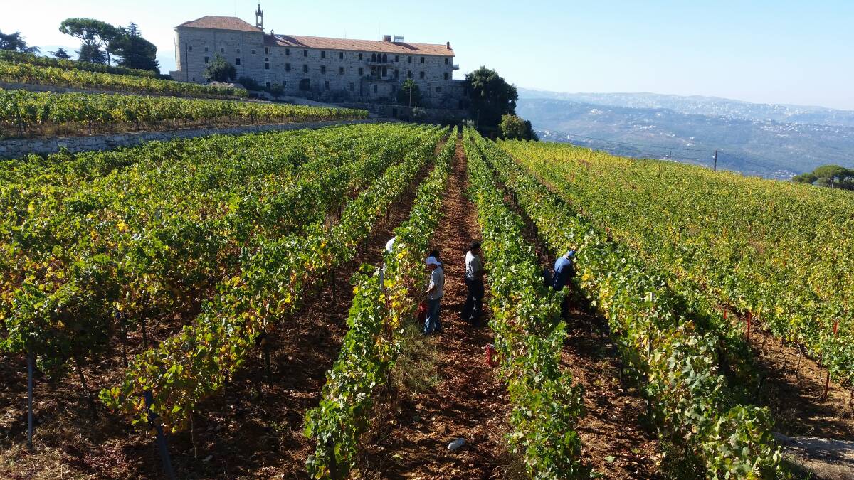Lebanon’s wine-making monk making more than memories in the MIA