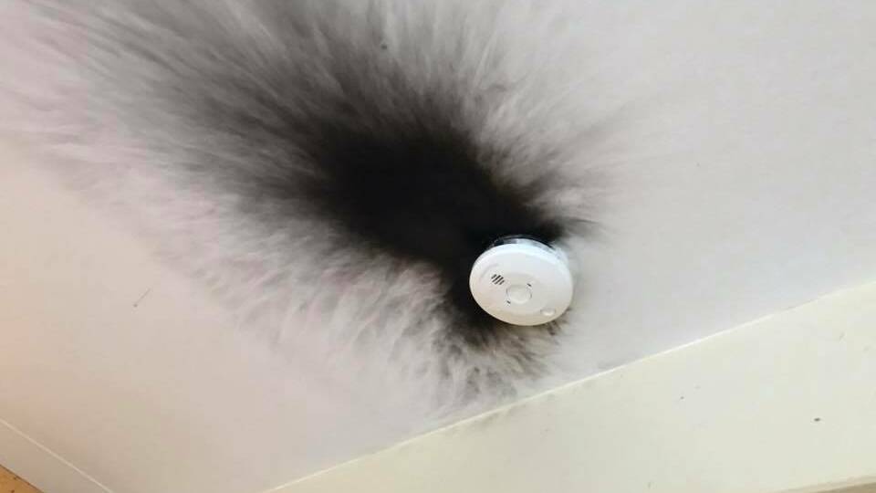 Smoke detector source of electrical fire on Kidman Way