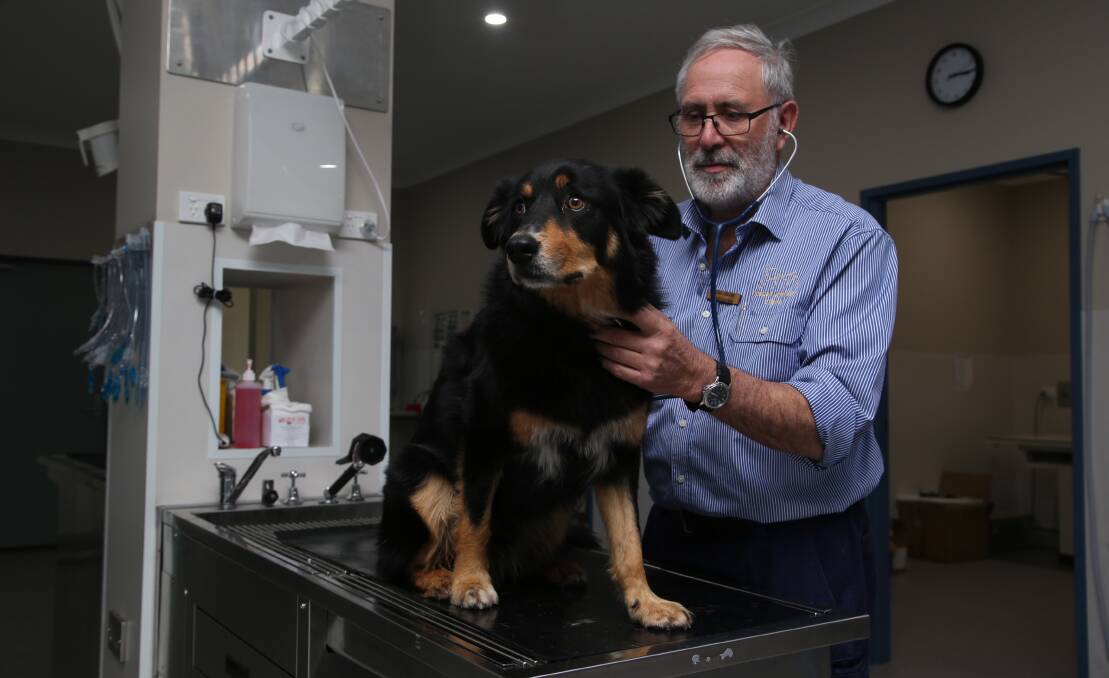 EXCEPTIONAL: Practice owner Dr Kim Martel, with Charlie, is proud of the new facility he has created.