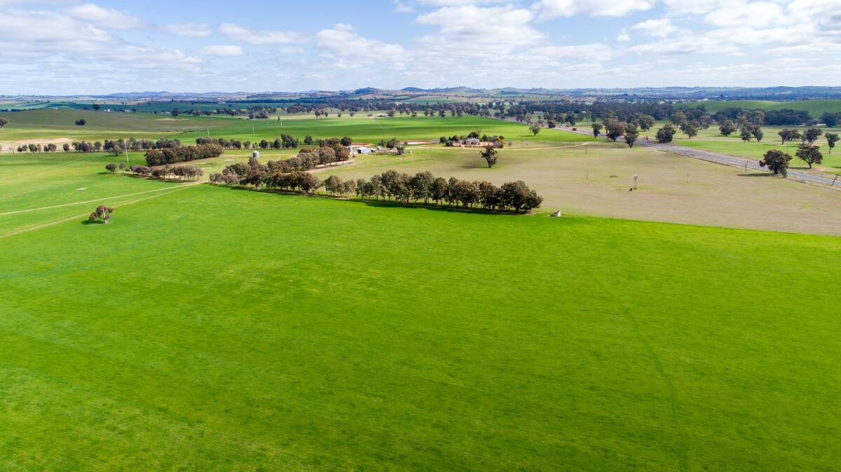 A DETAILED paddock history is available and improvements include the main cattle yard complex, a second set of cattle yards, haysheds and a machinery shed.