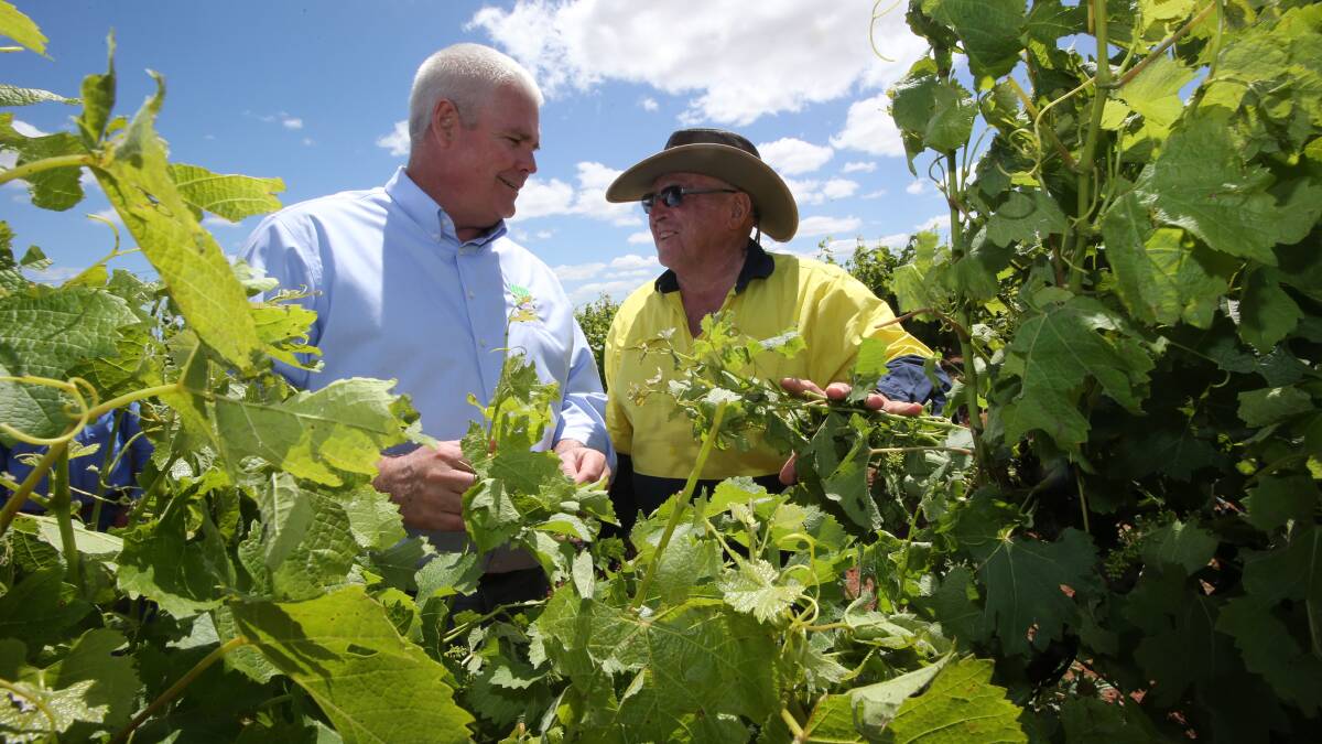Grape industry concerns spark commission call out
