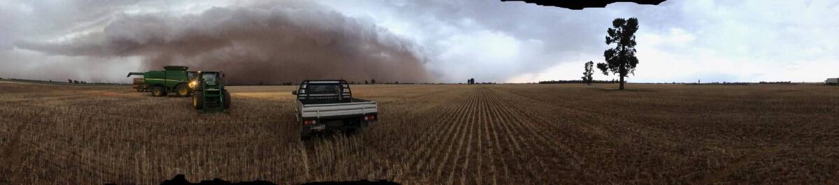 Dust clouds loom over a farm at Matong. Picture: Katie Bensch