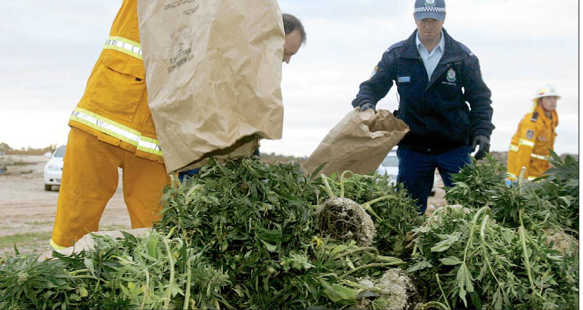 Police uncovered a huge cannabis haul at Lake Wyangan on this day 10 years ago.