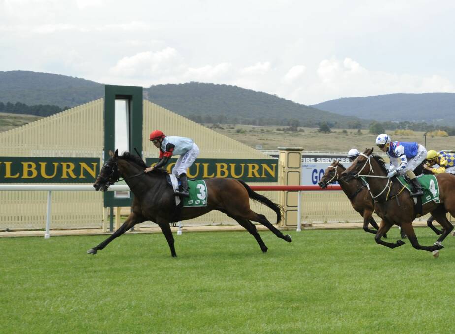 LAST START WIN: Ashjata has won at Goulburn in the past and will be a big player at Muswellbrook on Sunday according to trainer Danny Williams.