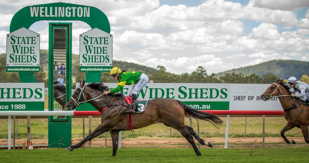 TOP CHOICE: Great Choice (Leanne Henry) proves too strong at Wellington – the horse returns to the scene in Sunday’s $150K Country Championships Qualifier.  Image by Janian McMillan