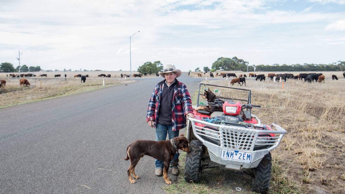 FORCED OUT: Drover John Wilson and the 360 head of cattle he had with him have returned to NSW due to red tape that prevented them from moving to a new area. PHOTO: Christine Ansorge